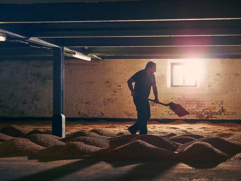 Floor malting at Bowmore distillery on Islay