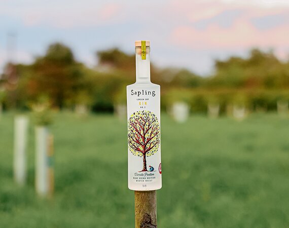 Sapling Climate Positive Gin
