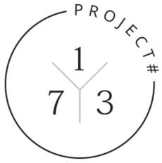 Project 173 logo