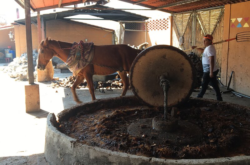 Traditional tahona wheel used in Mezcal production