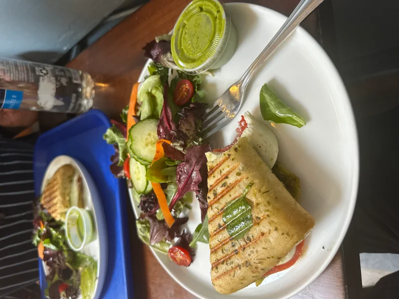 Grilled chicken wrap