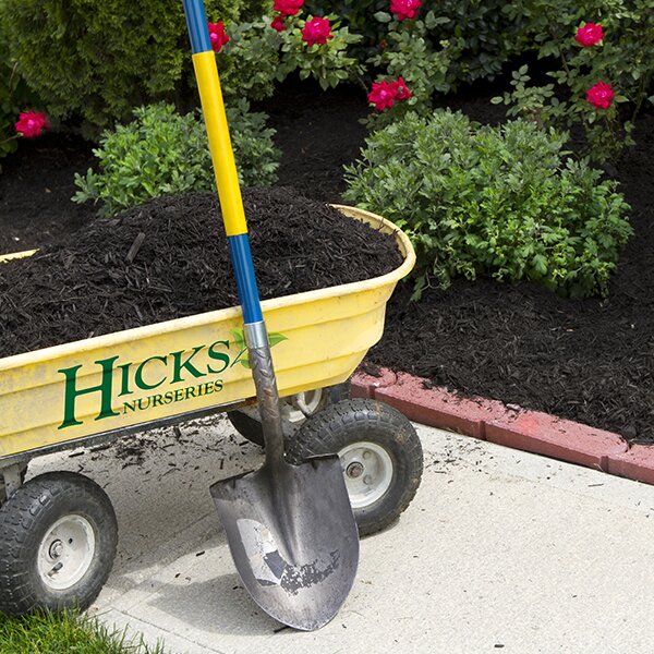 Mulch in a yellow cart near a garden