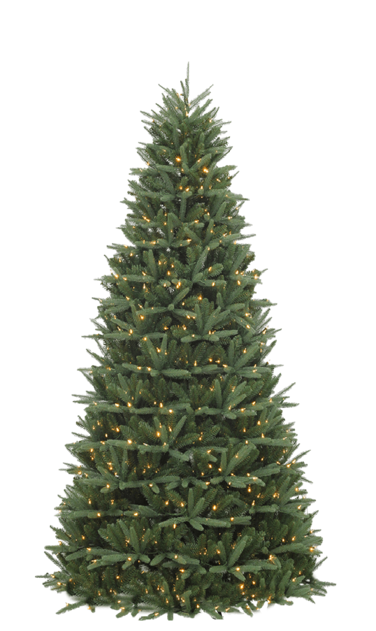 Christmas Tree 9-12 feet tall