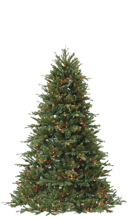 Christmas Tree 7.5-8 feet tall