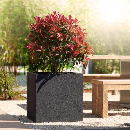 Frost Proof Pots