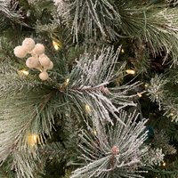 Christmas Tree Lights