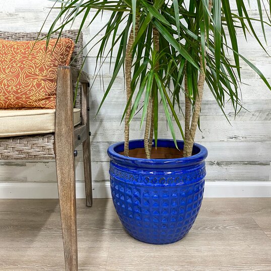 Large Pots