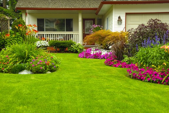 Mulch & Soil