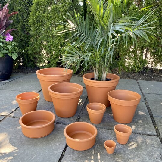 Terra Cotta Clay