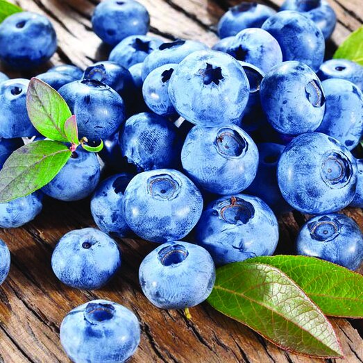 Fruits and Berries with a Close up of the Blue Crop blueberries on a table