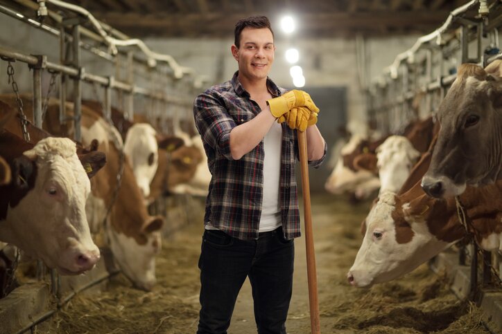 Man standing in cattle barn