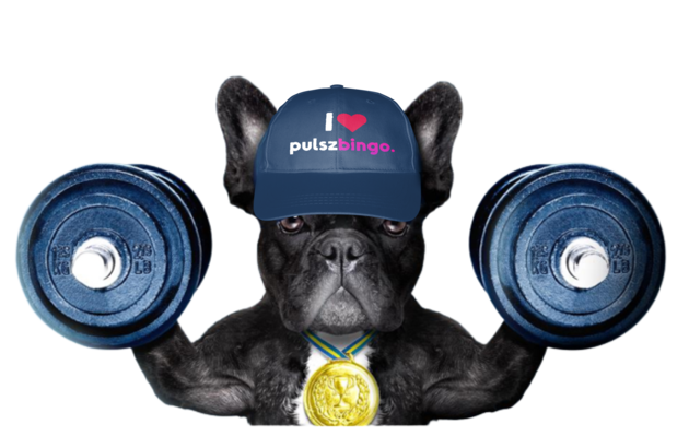 Pulsz Bingo - Best Social Bingo Casino