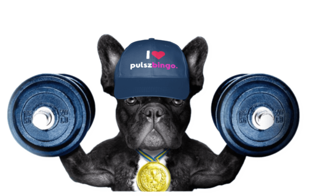 Pulsz Bingo - Best Social Bingo Casino