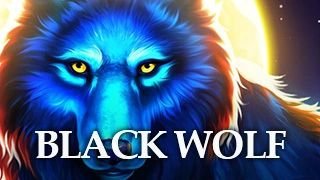 Black Wolf Pulsz