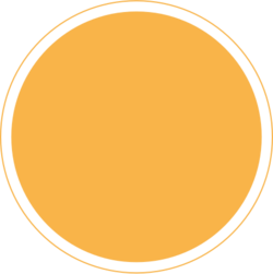 Orange circle