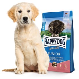 Cute Puppy with Dog Food