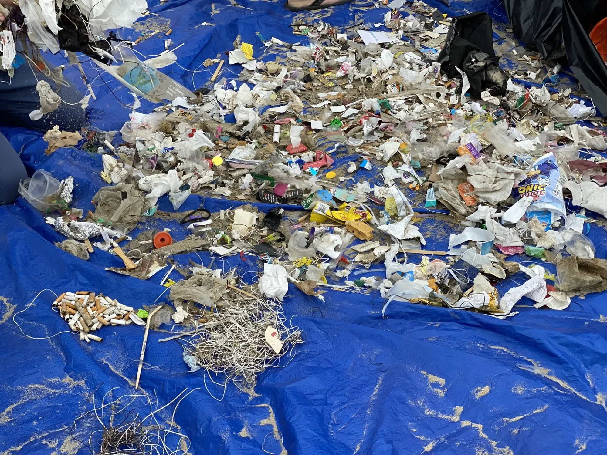 Taking Action at Beach Cleanups - 3