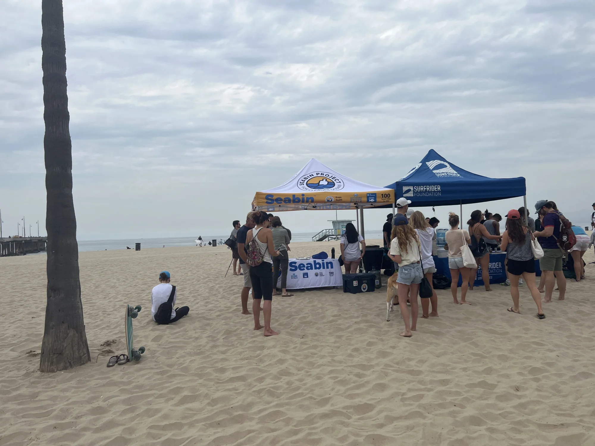 Taking Action at Beach Cleanups - 1