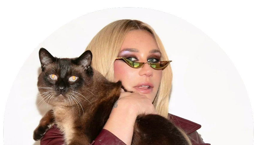 Kesha hugging her pussy cat