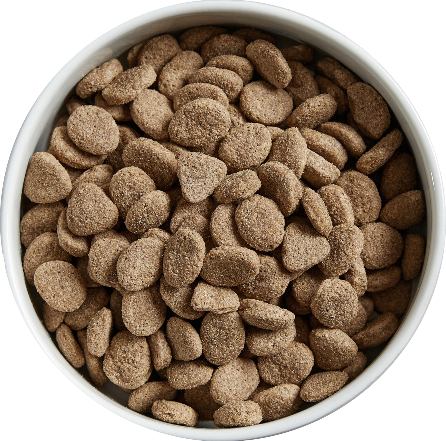 dry dog food in a bowl