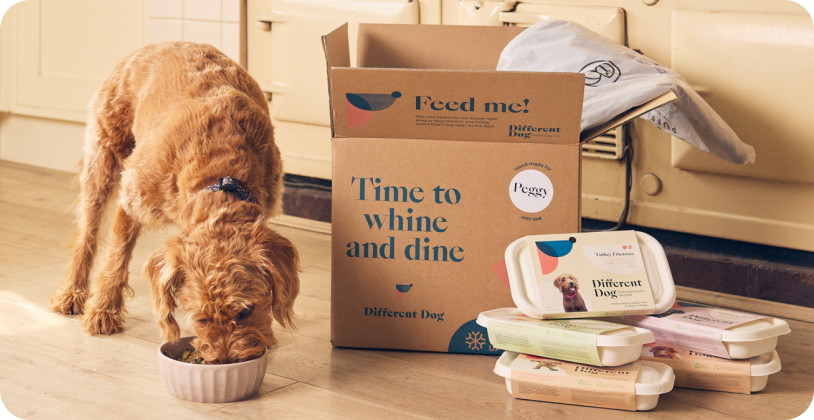 Changing dogs lives with real food