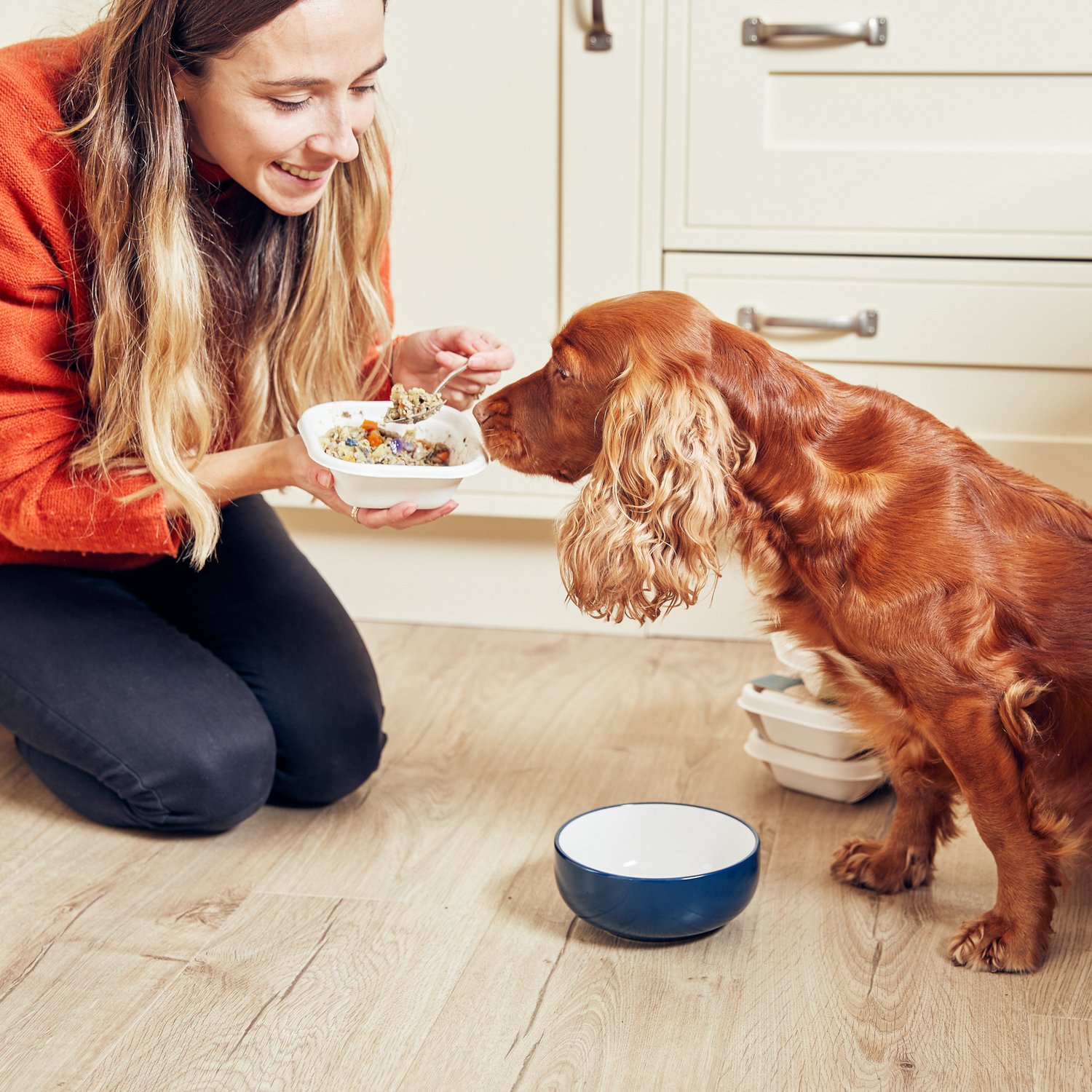 How much should you feed a dog and how often?