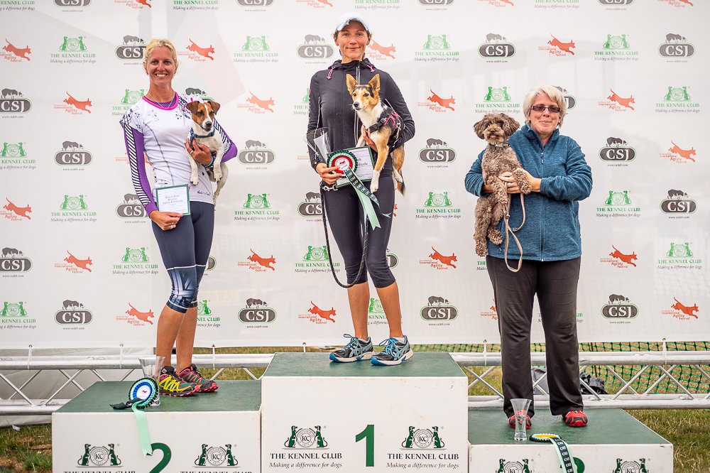 The first, second and third place finish at the kennel club agility competition.