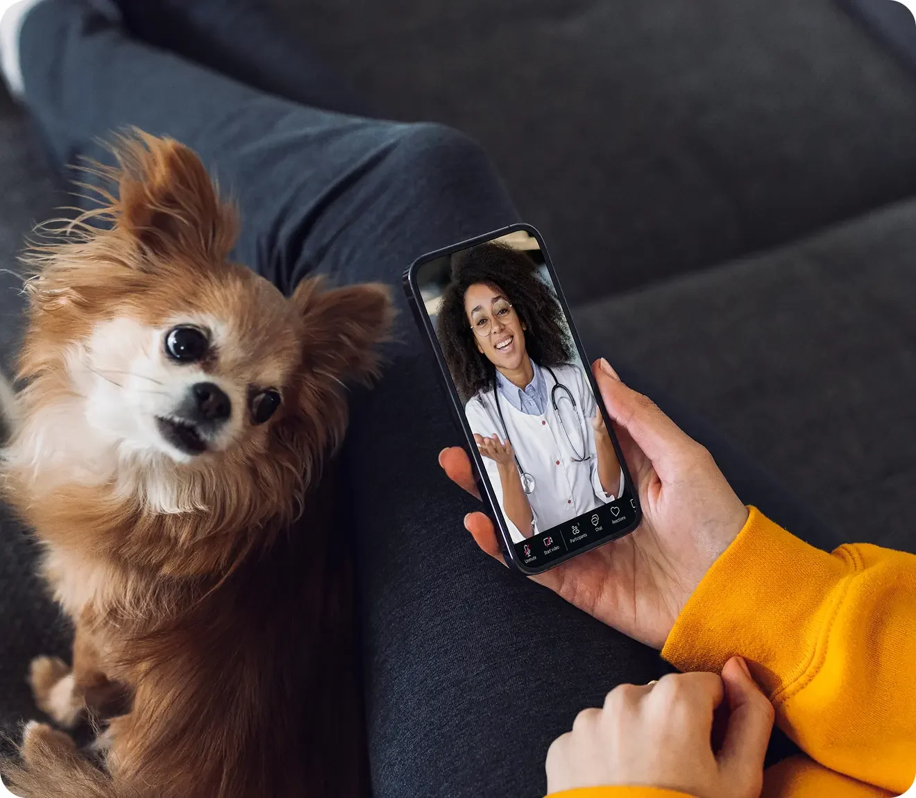 About dutch