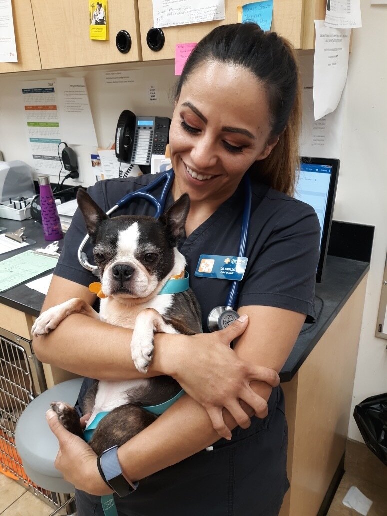 Dutch Pet, Inc.