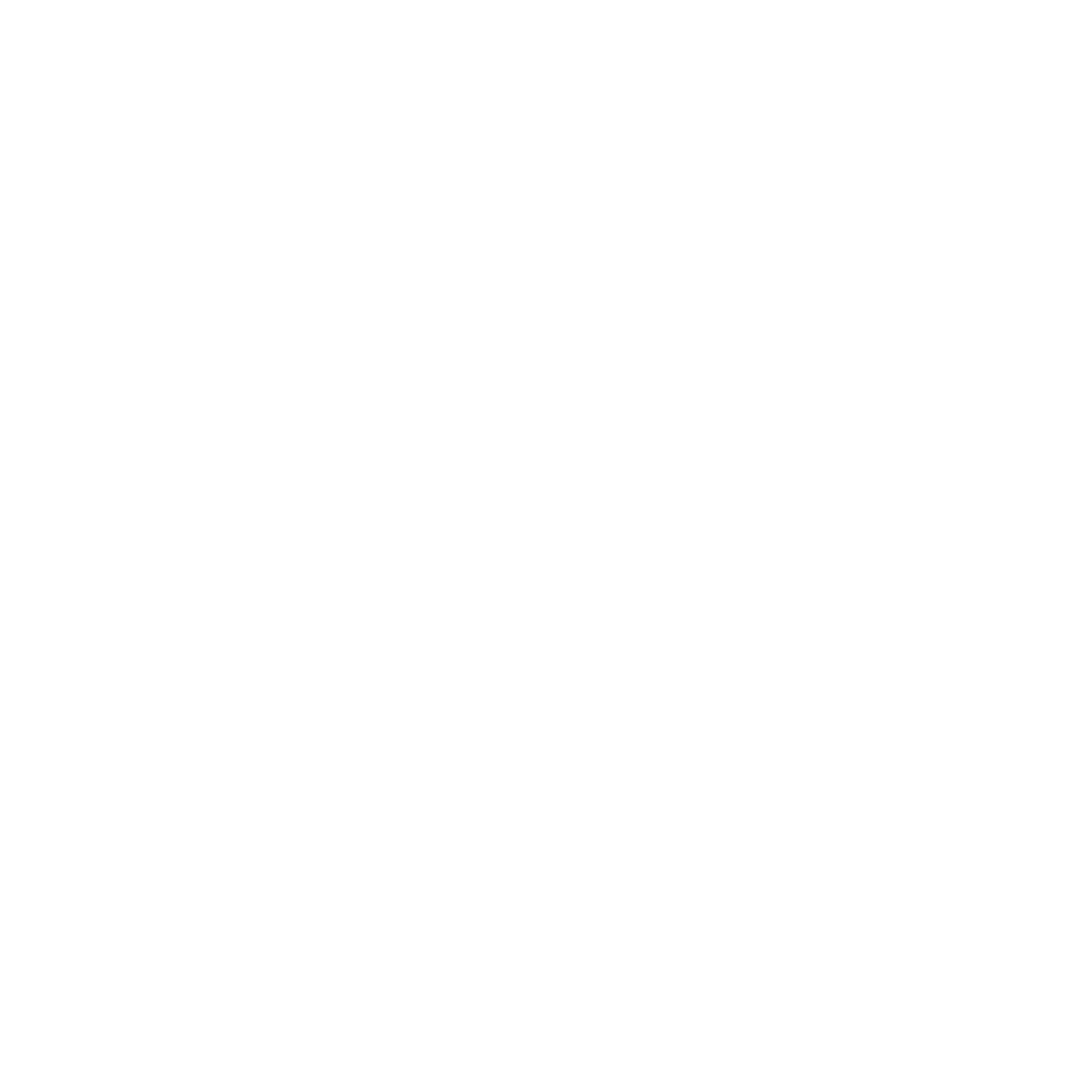 Nanny Network logo