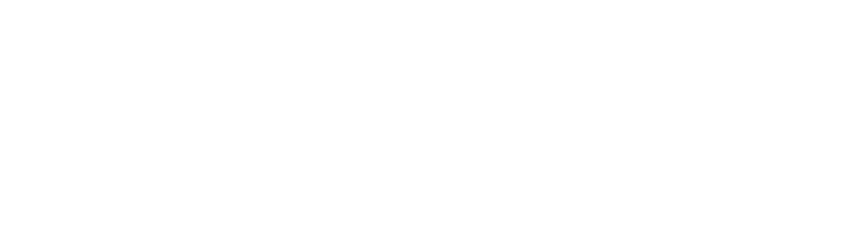 Vagina Whisperer logo