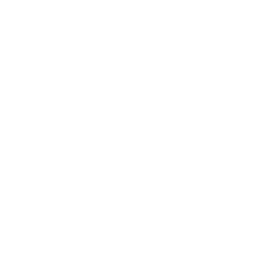 LMNT logo