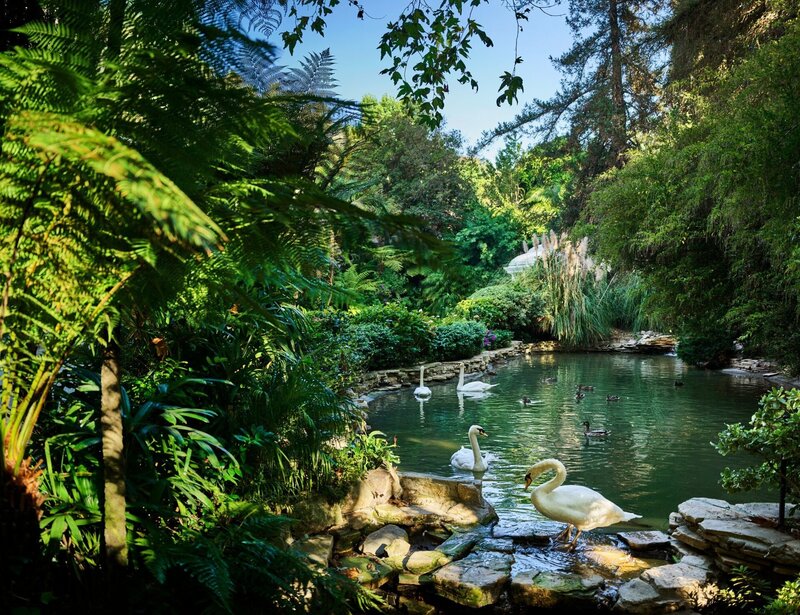 hotel bel-air swan lake