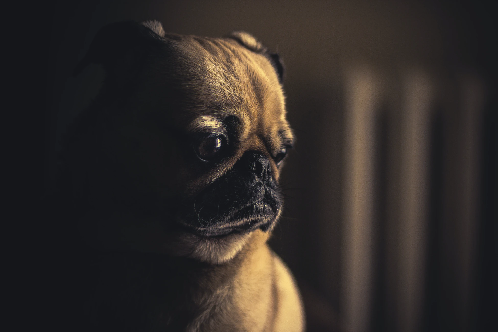 Helping you turn this frown upside down