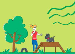 category cover imgae