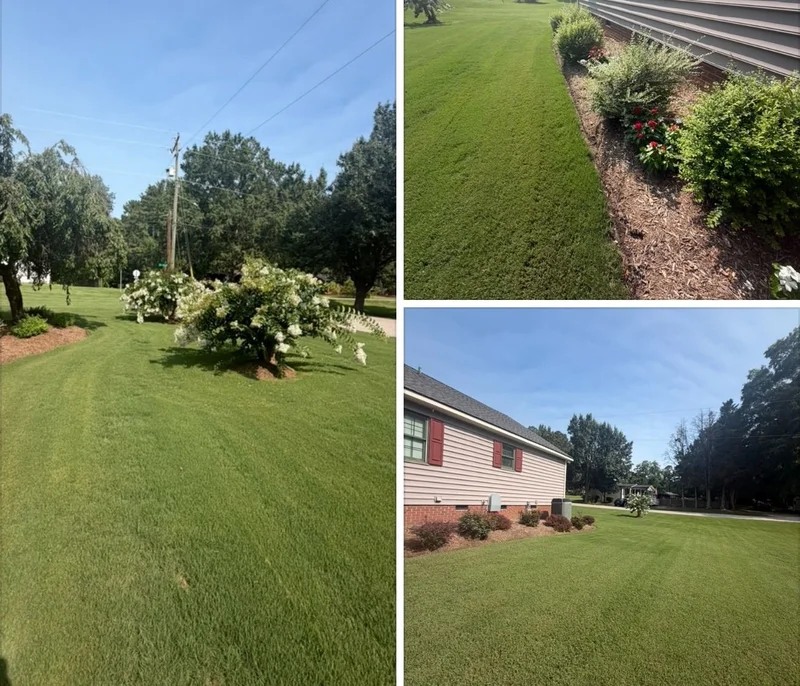 Green lawn and landscaped yard beside a home