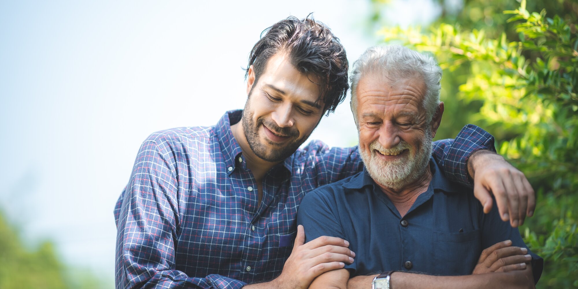 Article 1 image banner