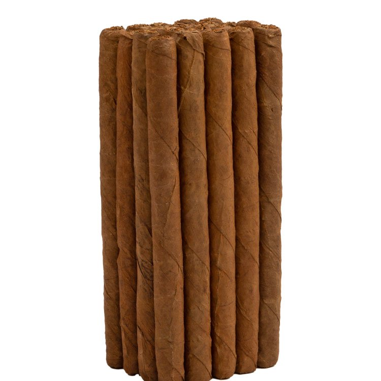 bundle of dominican nude small panatela cigars