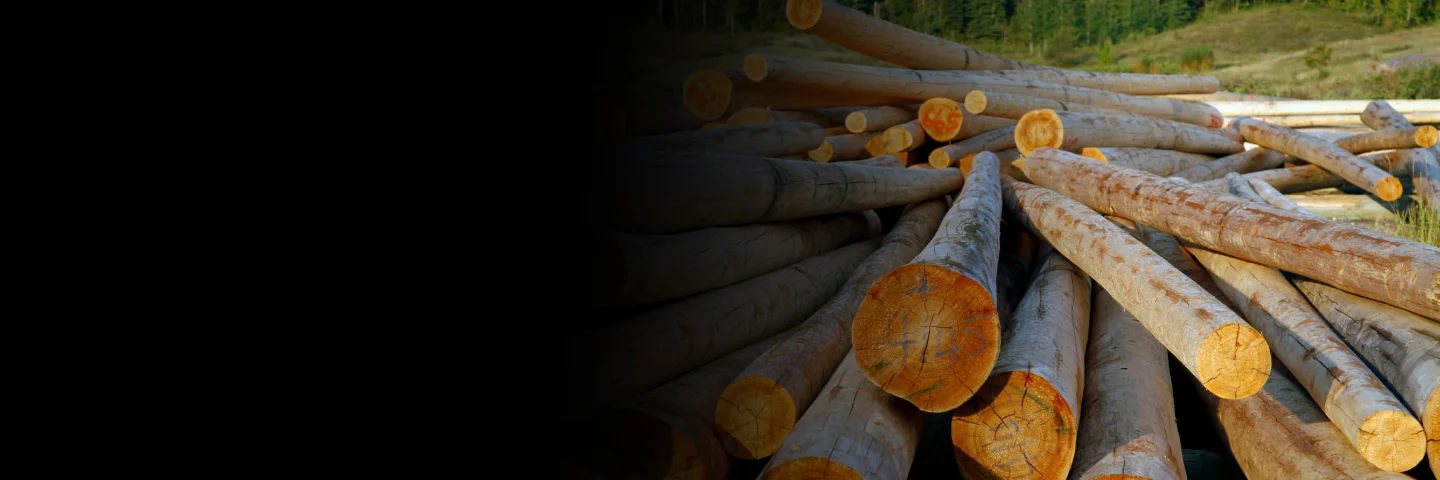 Lumber & Wood