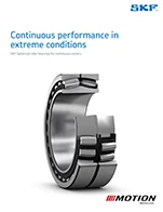 SKF Caster Bearing Flyer