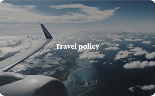 Travel policy