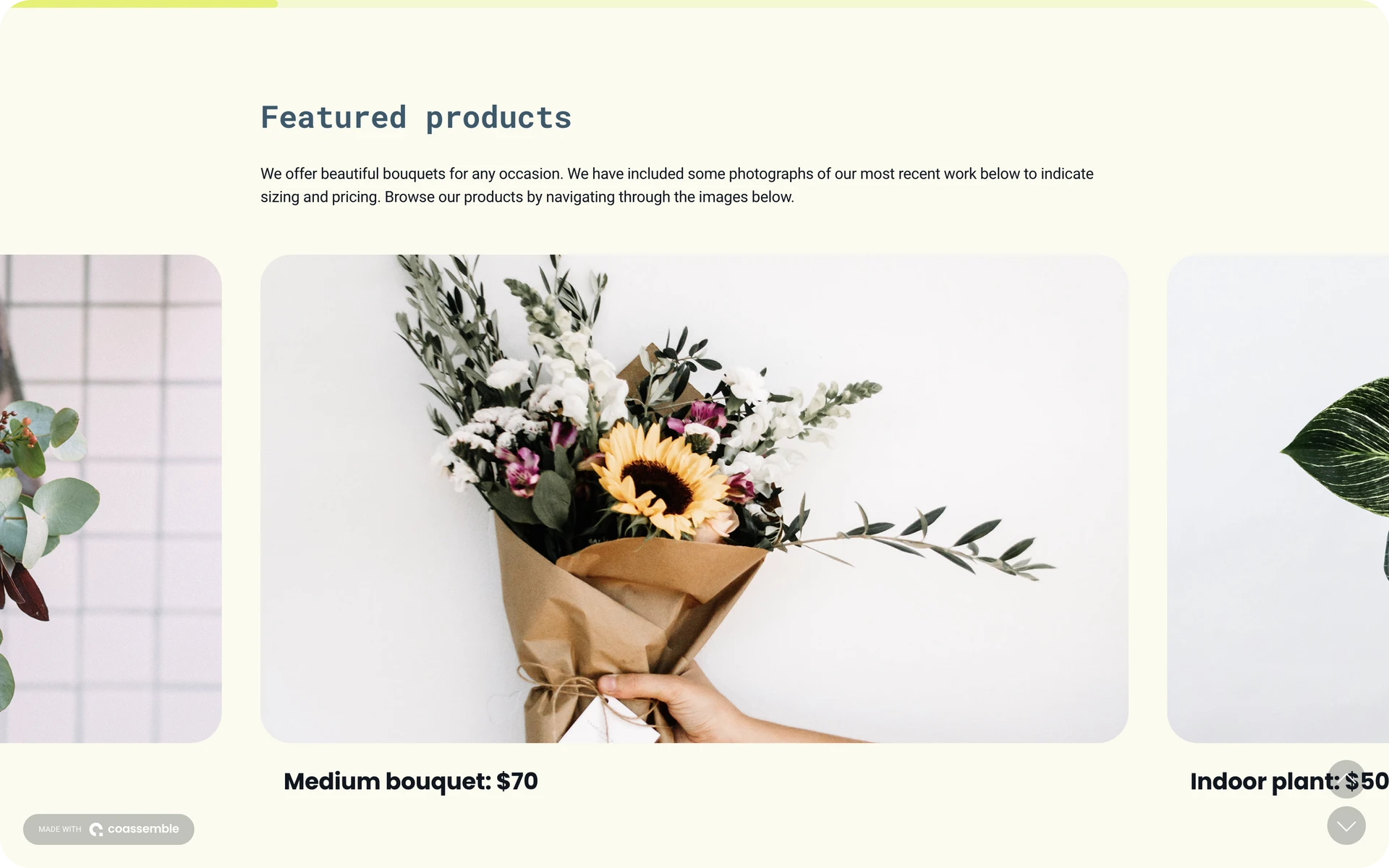 Product catalogue template