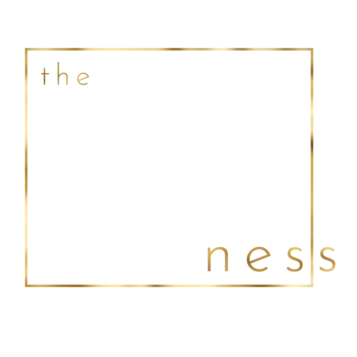 Ness mobile logo