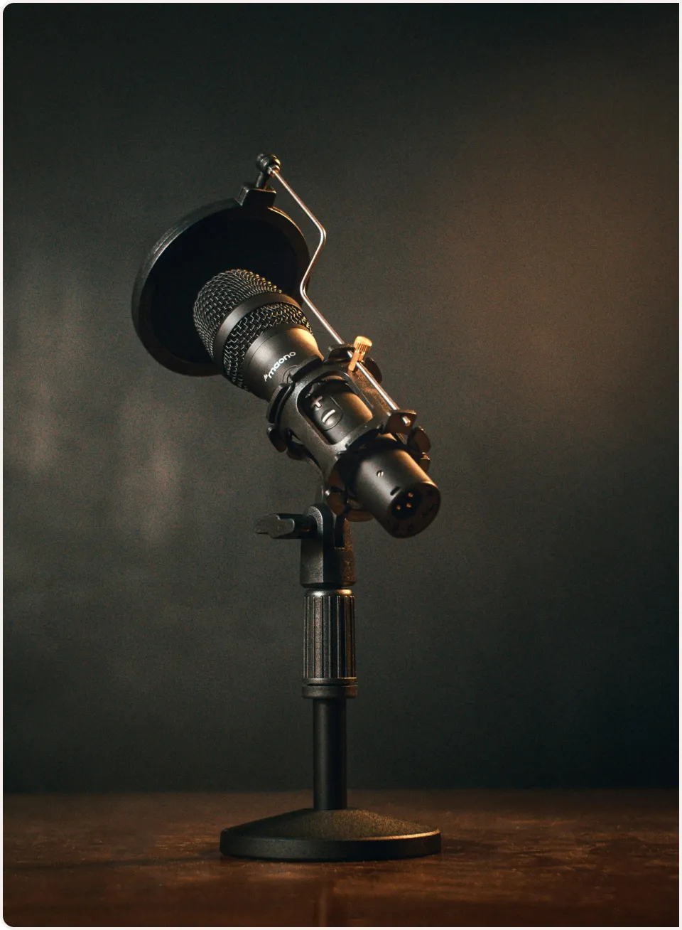 <span style="font-size: 18px;">Newsletter et podcast</span>