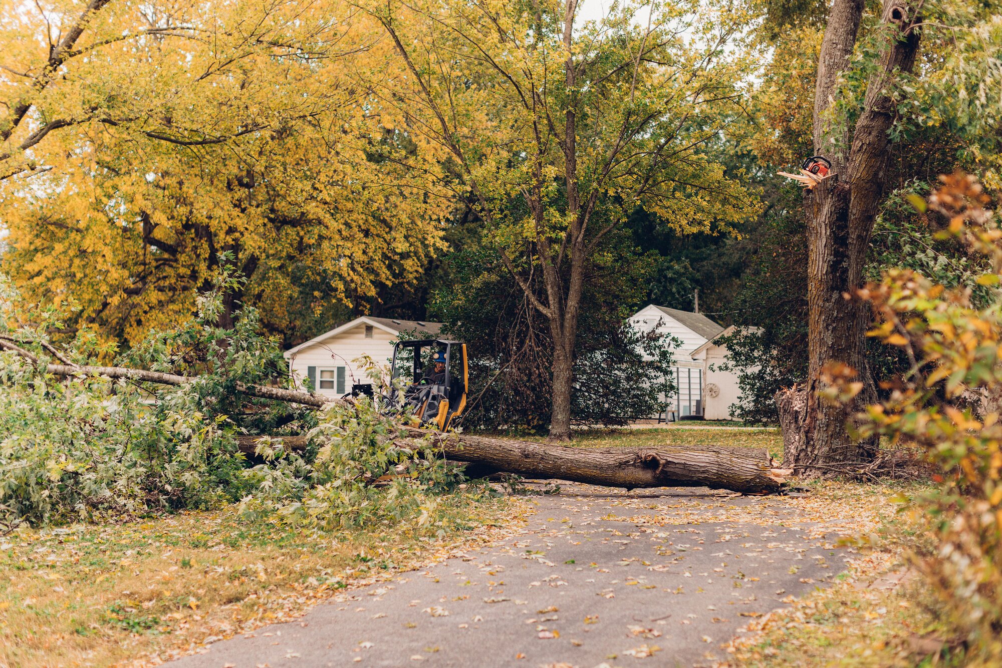 Storm Damage Recovery