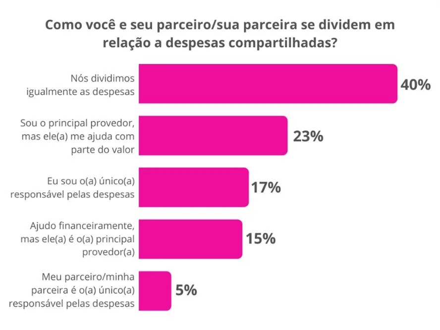 Gráfico mostrando como parceiros se dividem em relação a despesas