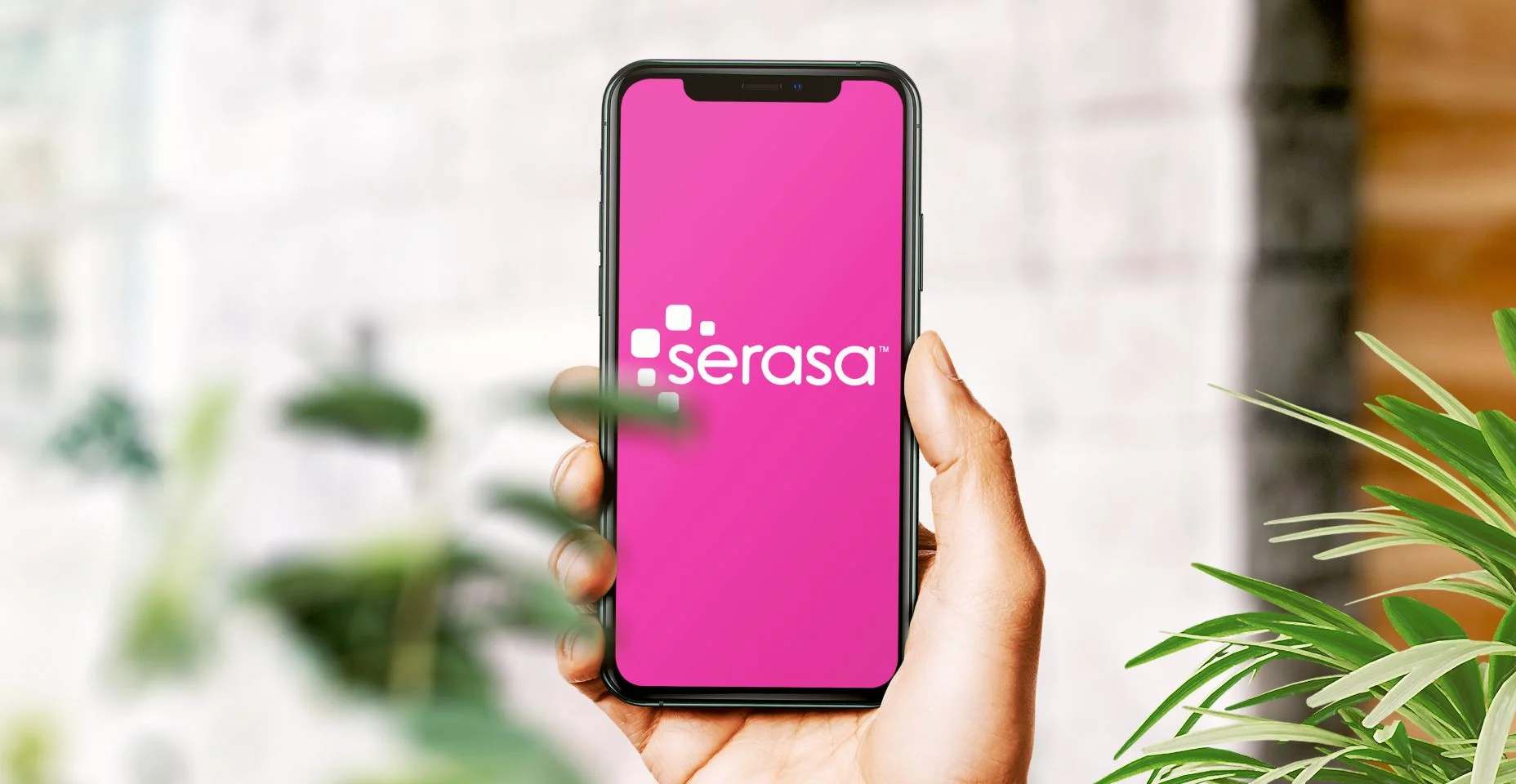pessoa segurando um celular com o logo da serasa