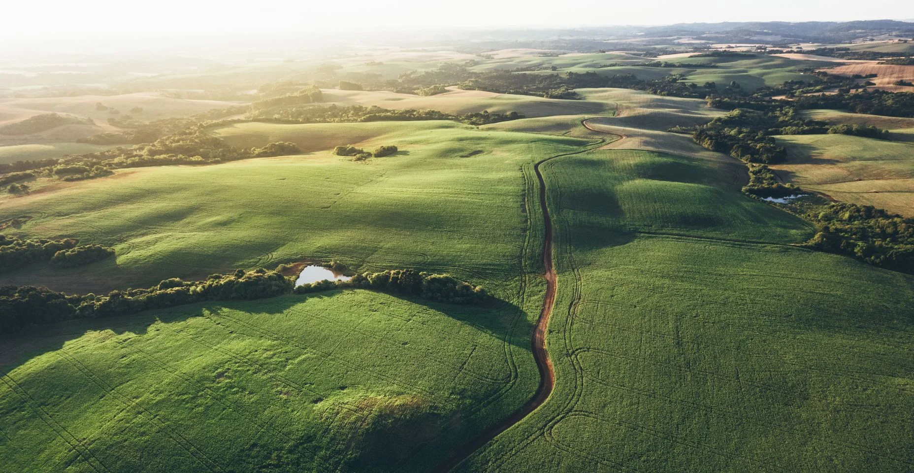 Pôr do sol nos campos agrícolas