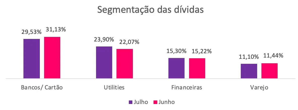 Gráfico mostrando a segmentação das dívidas