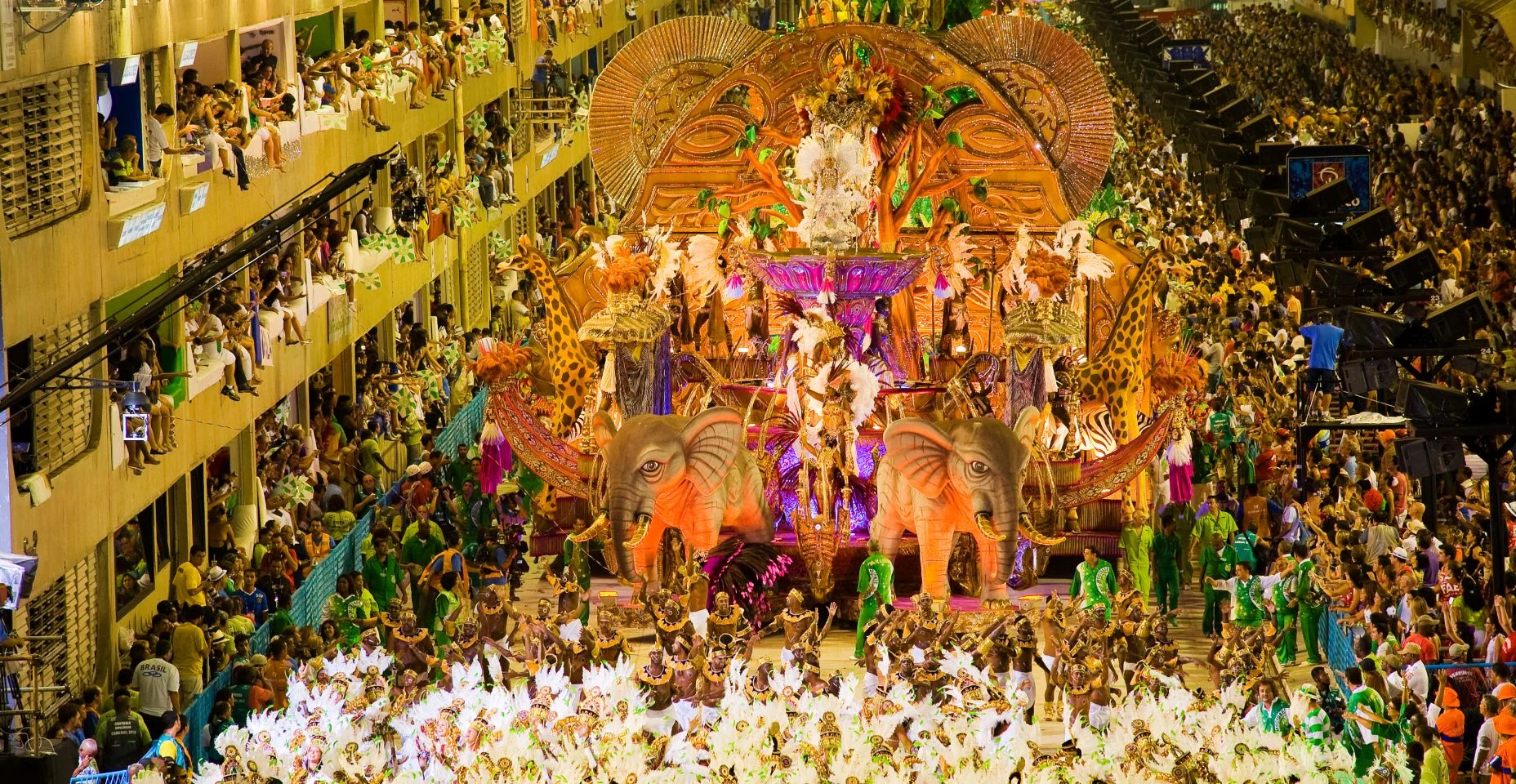 Escola de Samba apresentação Sambodrome Carnaval no Rio de Janeiro